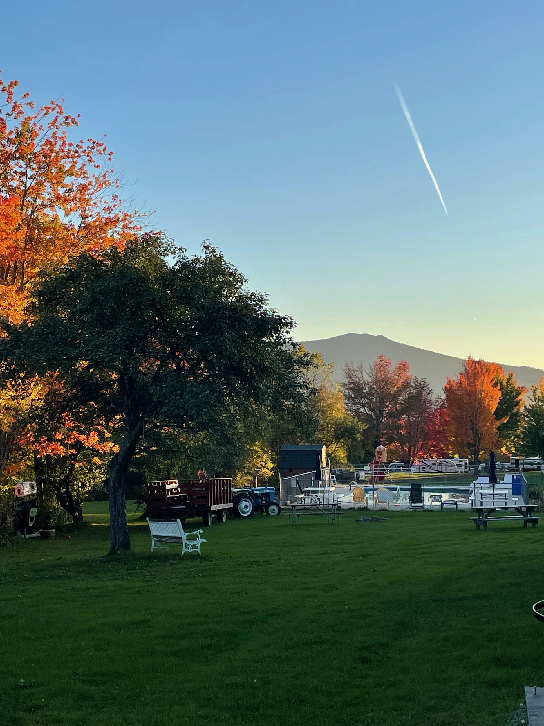 Fall trees alongside swimming pool